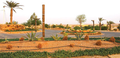 مشروع استكمال وتنفيذ وتطوير منتزه الملك سلمان - بنبان 